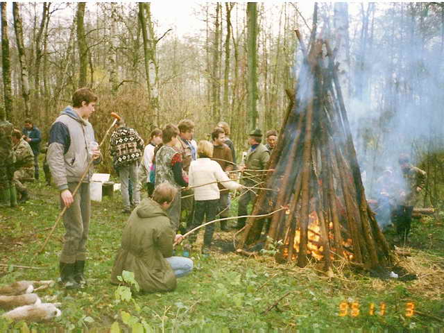 - 2023-08-31_hist_3.jpg - 2023-08-31_hist_3.jpg